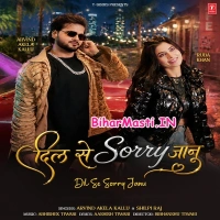 Dil Se Sorry Janu (Arvind Akela Kallu, Shilpi Raj)