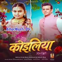 Bhojpuri Album Mp3 (July 2026) Collection-2