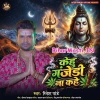 Pilela Ganja Driver Raja (Ritesh Pandey)
